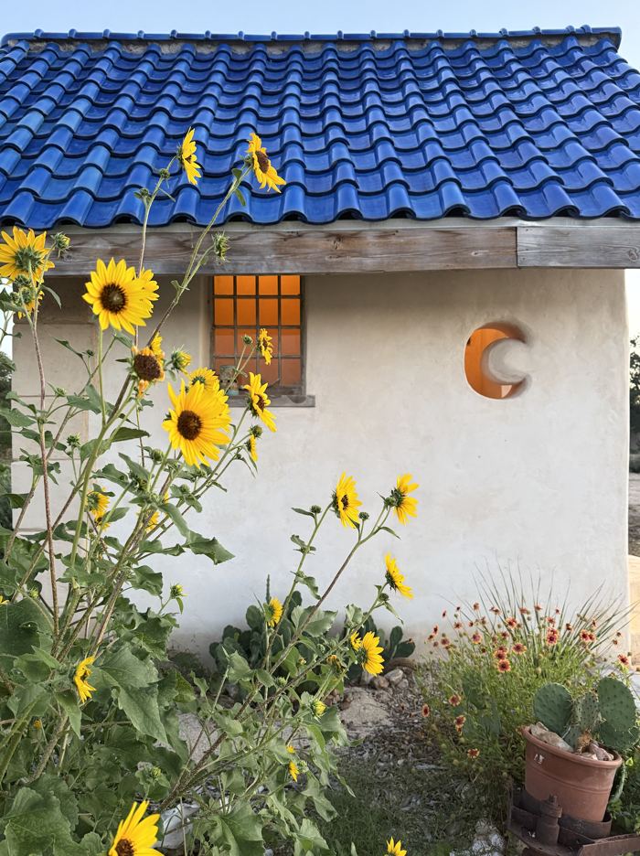 Blue tile roof structure with sunflowers