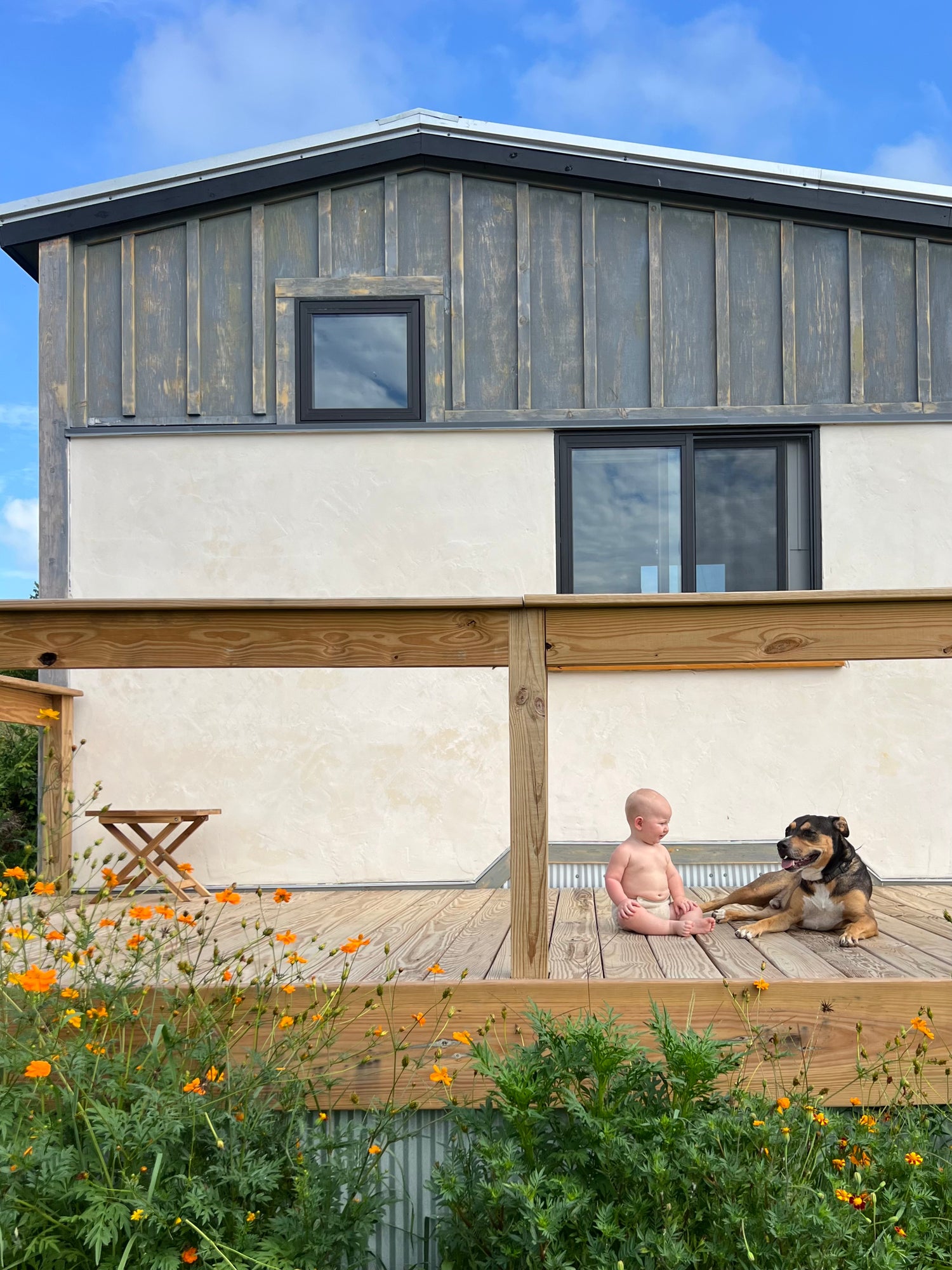 lime plaster hempcrete lime wash natural building texas cob