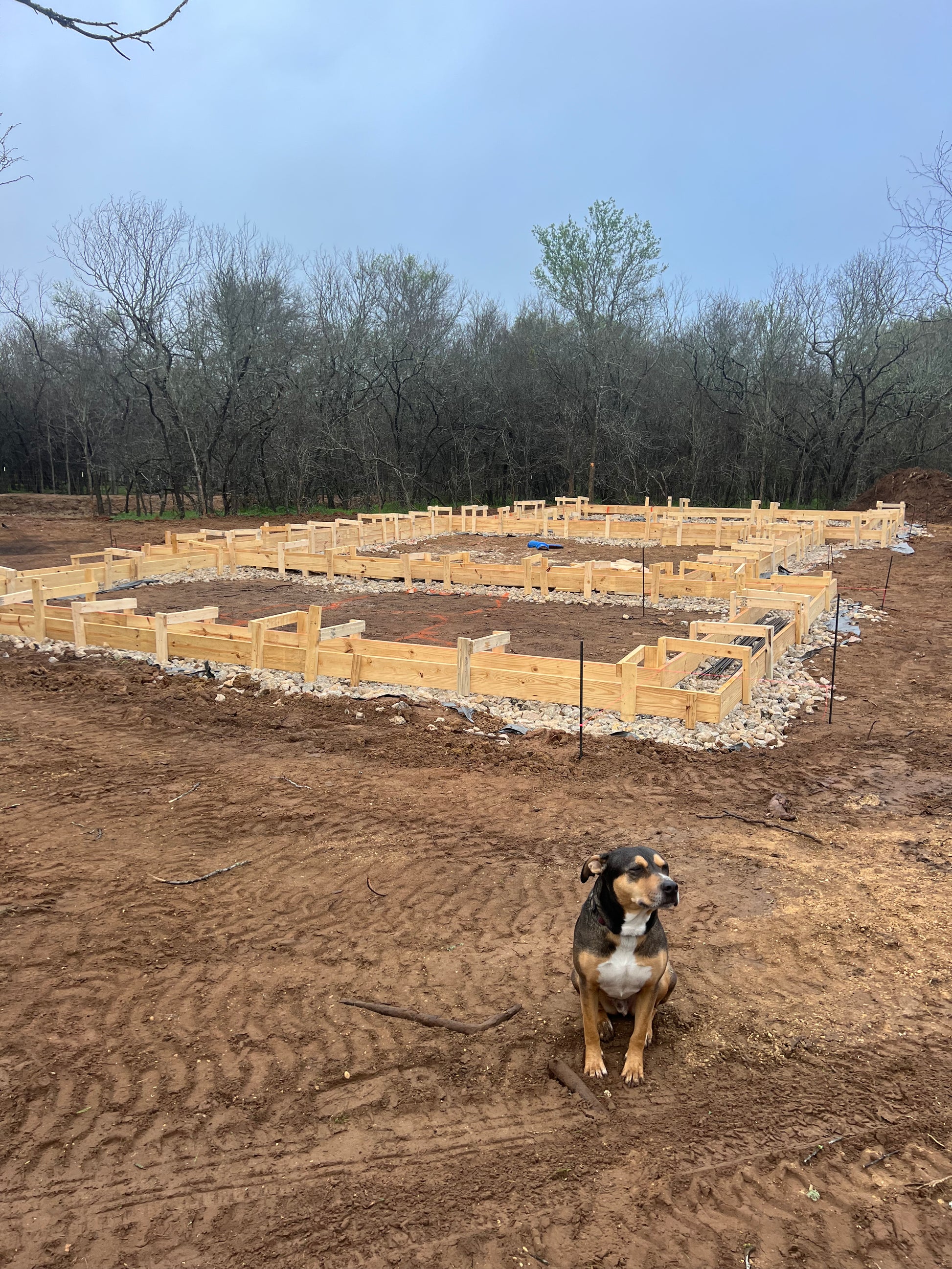 texas cob natural building earthen construction